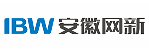 安徽网新计算机技术有限公司
